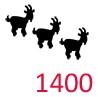 1400 chèvres